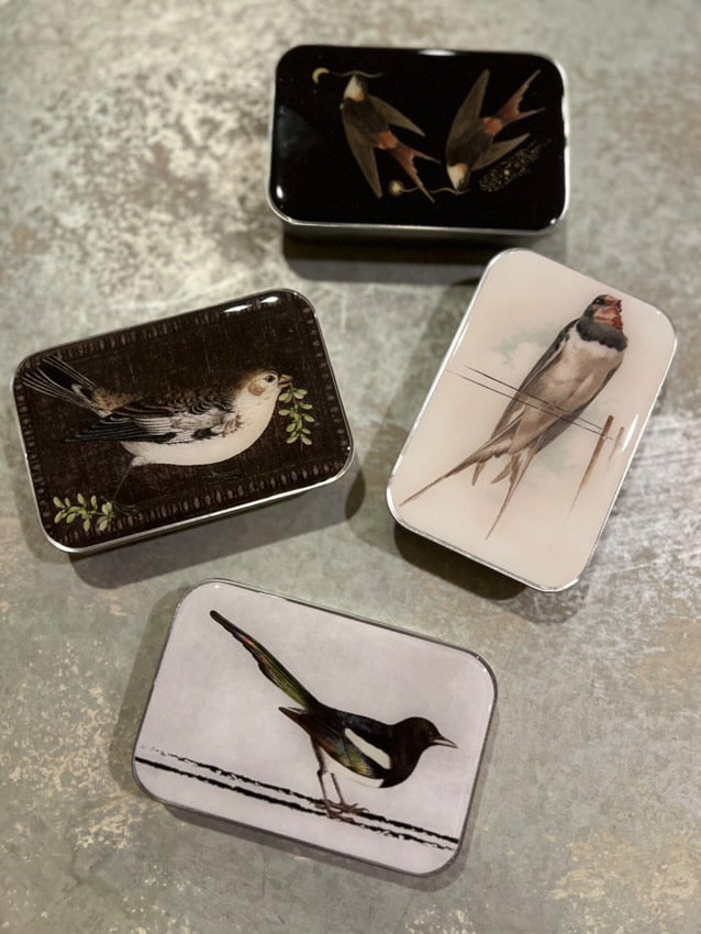 Notion Tin