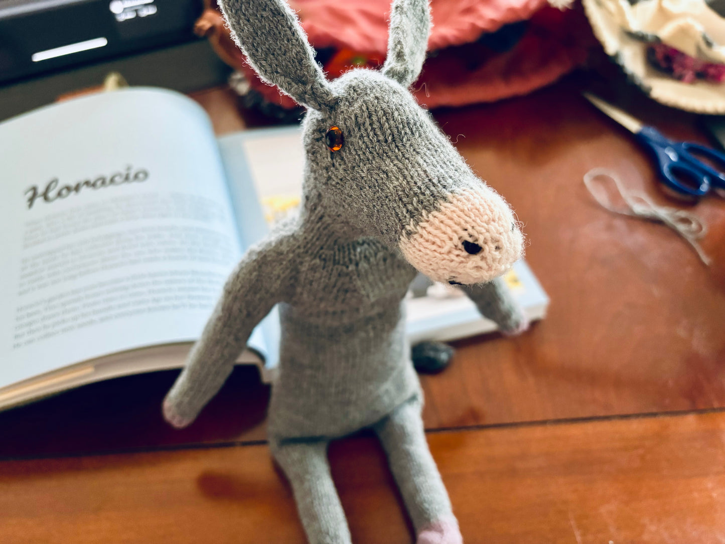 Mouche & Friends Book