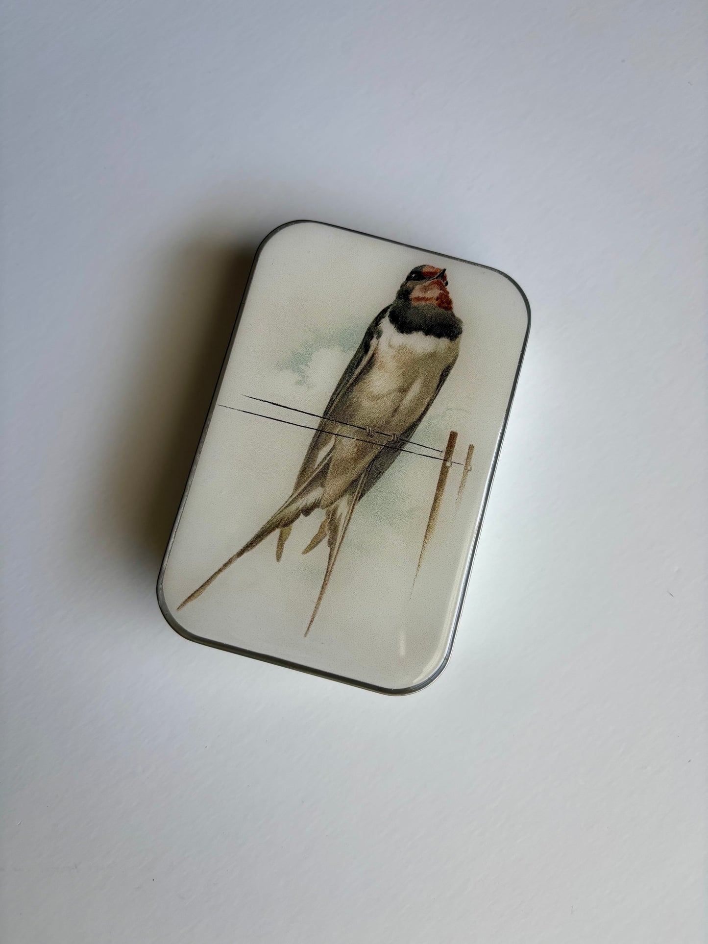 Notion Tin