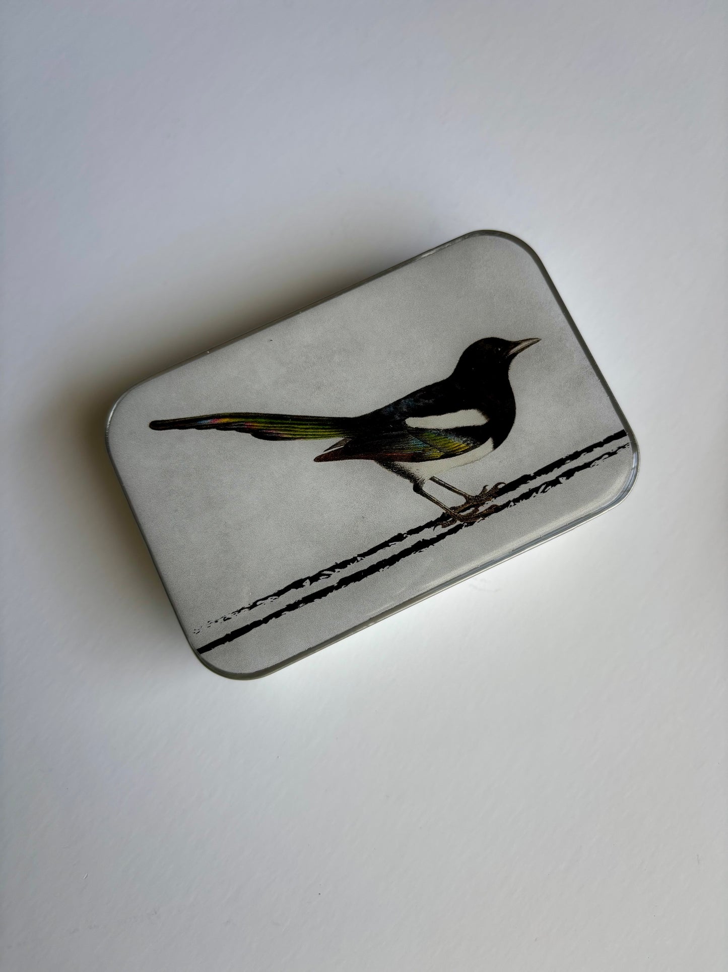 Notion Tin