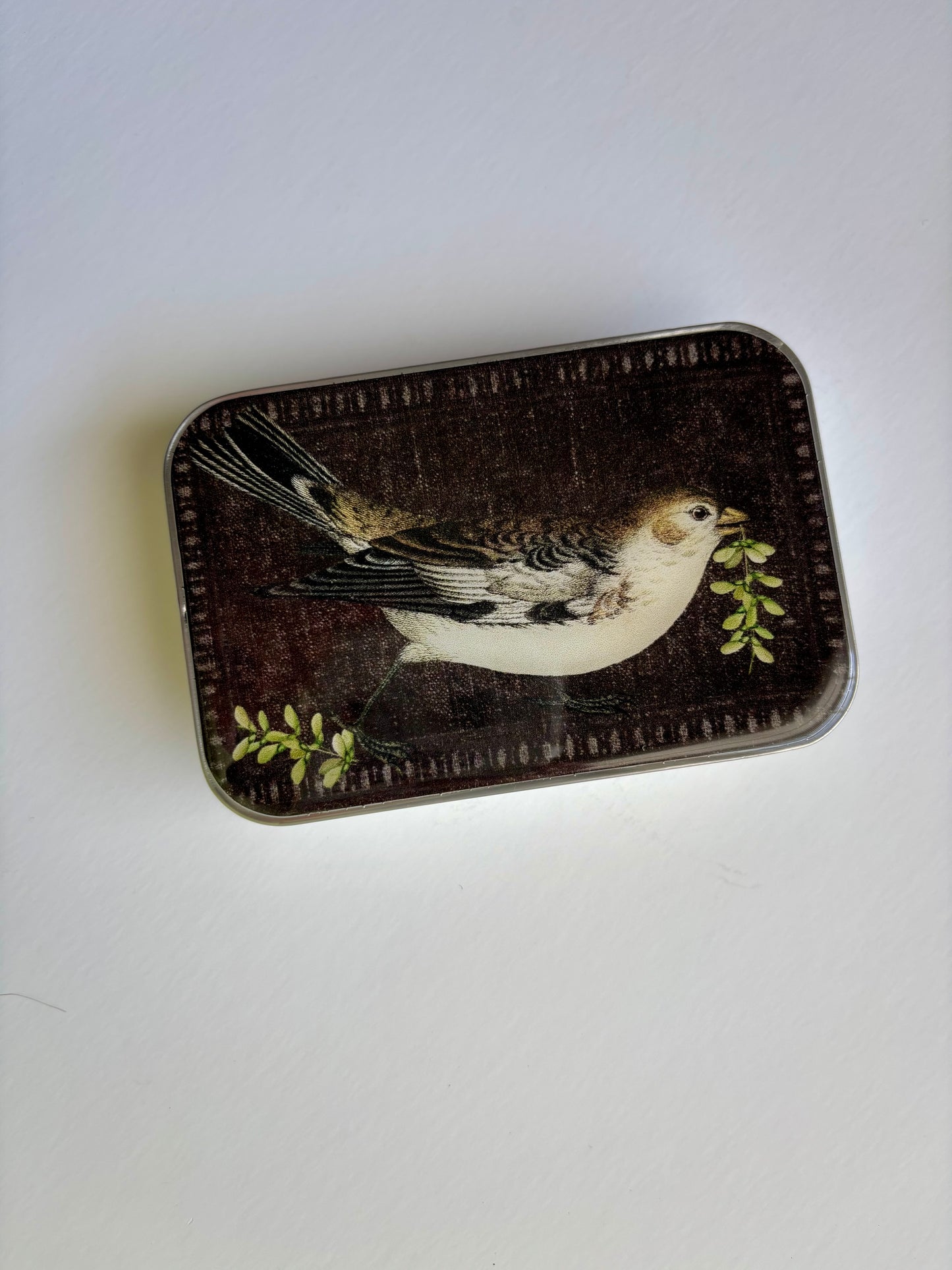 Notion Tin